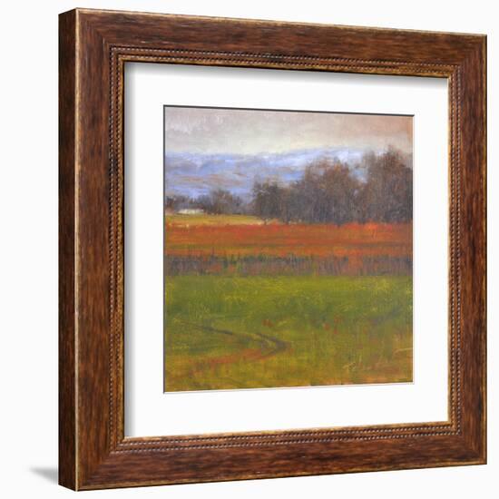 Red Vineyard Near The River I-Todd Telander-Framed Art Print