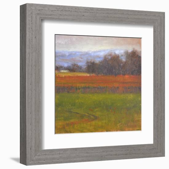 Red Vineyard Near The River I-Todd Telander-Framed Art Print