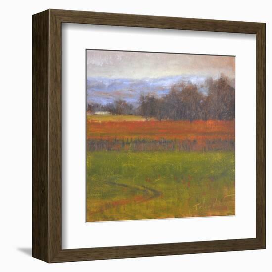 Red Vineyard Near The River I-Todd Telander-Framed Art Print