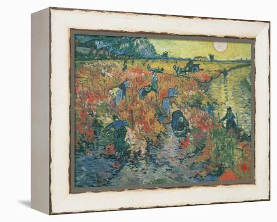 Red Vineyards at Arles, 1888-Vincent van Gogh-Framed Premier Image Canvas