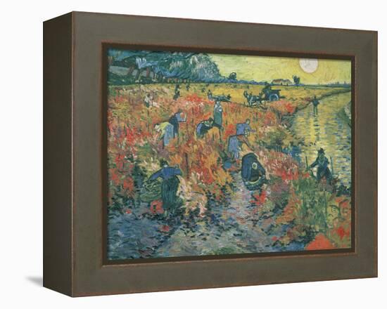 Red Vineyards at Arles, 1888-Vincent van Gogh-Framed Premier Image Canvas