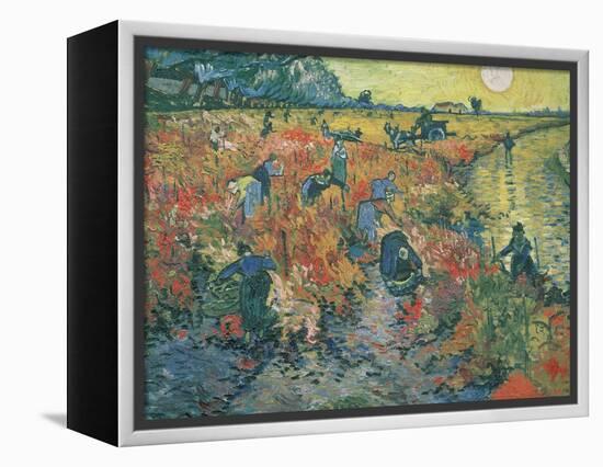 Red Vineyards at Arles, 1888-Vincent van Gogh-Framed Premier Image Canvas