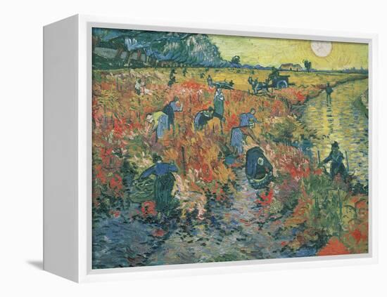 Red Vineyards at Arles, 1888-Vincent van Gogh-Framed Premier Image Canvas