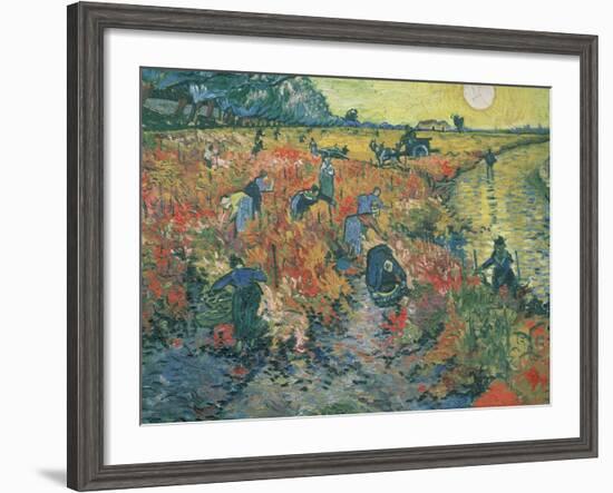 Red Vineyards at Arles, 1888-Vincent van Gogh-Framed Giclee Print