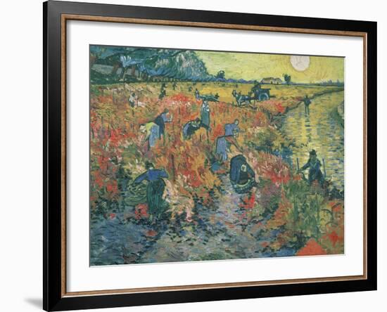 Red Vineyards at Arles, 1888-Vincent van Gogh-Framed Giclee Print