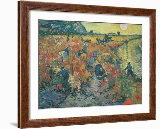 Red Vineyards at Arles, 1888-Vincent van Gogh-Framed Giclee Print