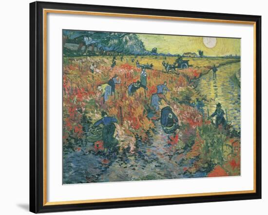 Red Vineyards at Arles, 1888-Vincent van Gogh-Framed Giclee Print