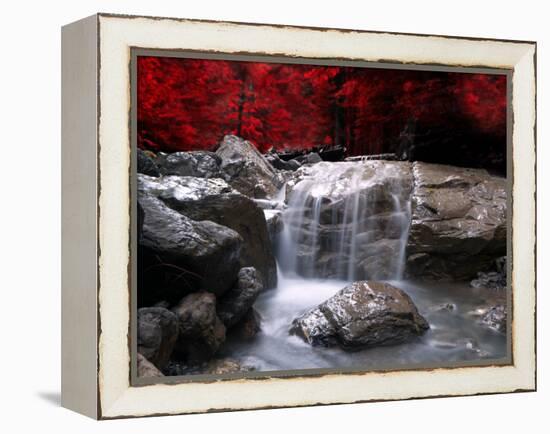 Red Vision-Philippe Sainte-Laudy-Framed Premier Image Canvas