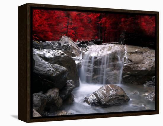 Red Vision-Philippe Sainte-Laudy-Framed Premier Image Canvas