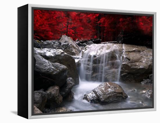 Red Vision-Philippe Sainte-Laudy-Framed Premier Image Canvas