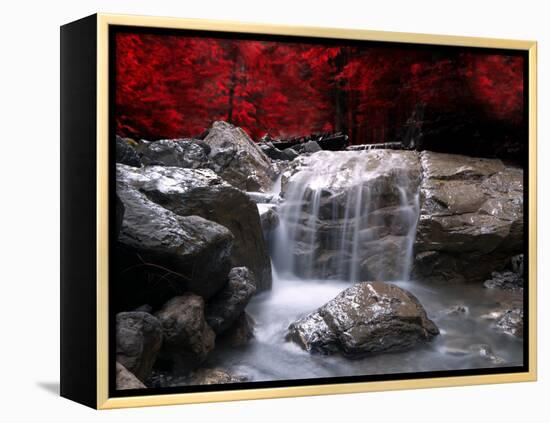 Red Vision-Philippe Sainte-Laudy-Framed Premier Image Canvas