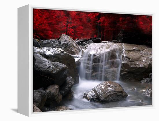 Red Vision-Philippe Sainte-Laudy-Framed Premier Image Canvas