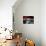 Red Vision-Philippe Sainte-Laudy-Photographic Print displayed on a wall
