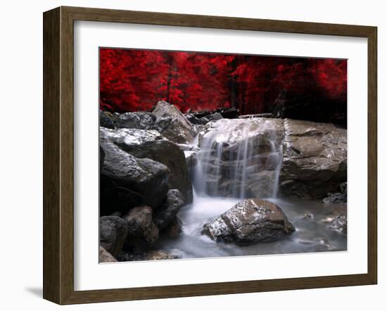 Red Vision-Philippe Sainte-Laudy-Framed Photographic Print