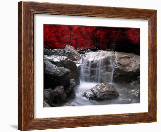 Red Vision-Philippe Sainte-Laudy-Framed Photographic Print