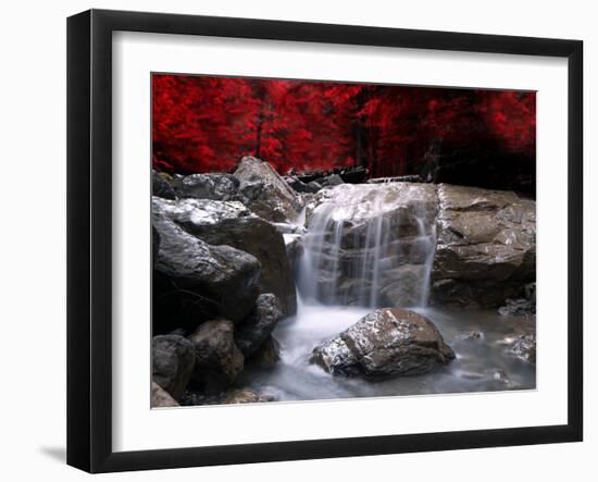 Red Vision-Philippe Sainte-Laudy-Framed Photographic Print