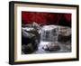 Red Vision-Philippe Sainte-Laudy-Framed Photographic Print