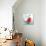 Red White and Bloom-Danhui Nai-Premium Giclee Print displayed on a wall