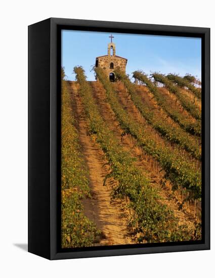 Red Willow Vineyard with Stone Chapel, Yakima County, Washington, USA-Jamie & Judy Wild-Framed Premier Image Canvas