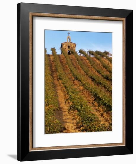 Red Willow Vineyard with Stone Chapel, Yakima County, Washington, USA-Jamie & Judy Wild-Framed Photographic Print