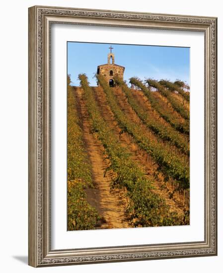 Red Willow Vineyard with Stone Chapel, Yakima County, Washington, USA-Jamie & Judy Wild-Framed Photographic Print