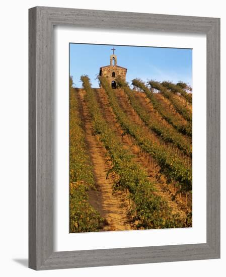 Red Willow Vineyard with Stone Chapel, Yakima County, Washington, USA-Jamie & Judy Wild-Framed Photographic Print