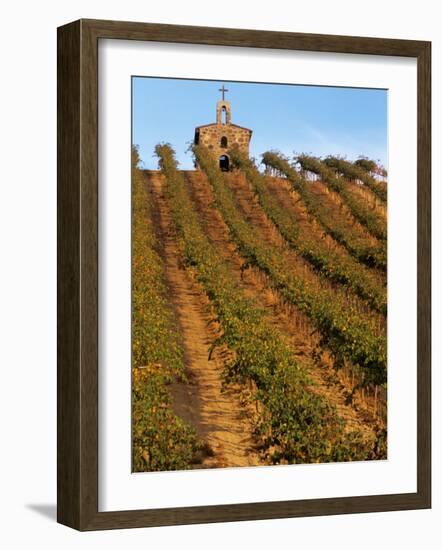 Red Willow Vineyard with Stone Chapel, Yakima County, Washington, USA-Jamie & Judy Wild-Framed Photographic Print