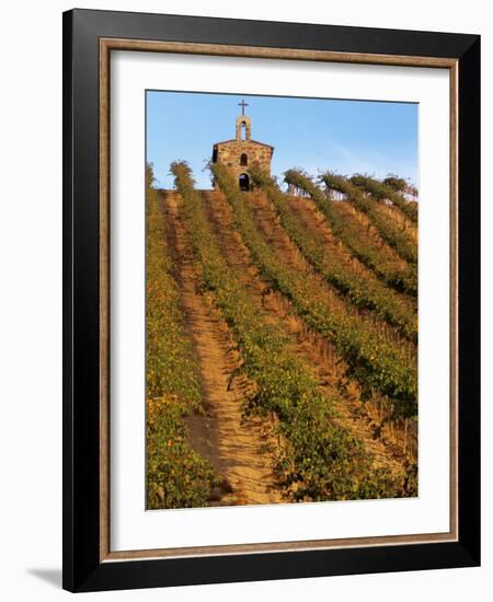 Red Willow Vineyard with Stone Chapel, Yakima County, Washington, USA-Jamie & Judy Wild-Framed Photographic Print
