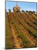 Red Willow Vineyard with Stone Chapel, Yakima County, Washington, USA-Jamie & Judy Wild-Mounted Photographic Print