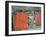 Red Window and Door, St. Kitts, Caribbean-David Herbig-Framed Photographic Print