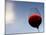 Red Wine Glass Against a Blue Sky, Paris, France-Michele Molinari-Mounted Photographic Print