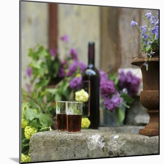 Red Wine Glasses & Red Wine Bottle on Stone Trough with Flowers-Christine Gill?-Mounted Photographic Print