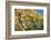 Red Wine Grapes, Autumn, Uhlbach, Baden Wurttemberg, Germany, Europe-Markus Lange-Framed Photographic Print