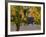 Red Wine Grapes Hanging, Yakima, Washington-Janis Miglavs-Framed Photographic Print