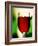 Red Wine in Glass-Vladimir Shulevsky-Framed Photographic Print