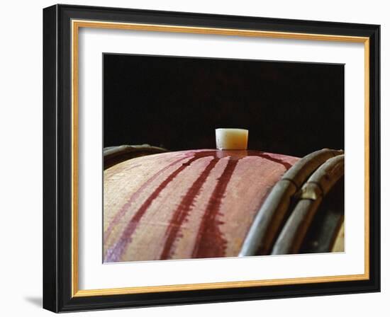 Red Wine in Oak Barrel at Lucien Muzard, Santenay, Bourgogne, France-Per Karlsson-Framed Photographic Print