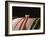 Red Wine in Oak Barrel at Lucien Muzard, Santenay, Bourgogne, France-Per Karlsson-Framed Photographic Print