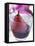 Red Wine Pear, Served in a Glass-Alena Hrbkova-Framed Premier Image Canvas