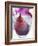 Red Wine Pear, Served in a Glass-Alena Hrbkova-Framed Photographic Print