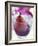 Red Wine Pear, Served in a Glass-Alena Hrbkova-Framed Photographic Print