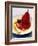 Red Wine Pear with Cheese and Star Anise-Alexander Van Berge-Framed Photographic Print