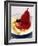 Red Wine Pear with Cheese and Star Anise-Alexander Van Berge-Framed Photographic Print