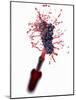 Red Wine Splashing Out of Bottle-Kröger & Gross-Mounted Photographic Print