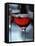 Red Wine (Straw Wine) in Glasses, Burgenland, Austria-Herbert Lehmann-Framed Premier Image Canvas
