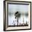 Red Wing Blackbird 3-Ursula Abresch-Framed Photographic Print