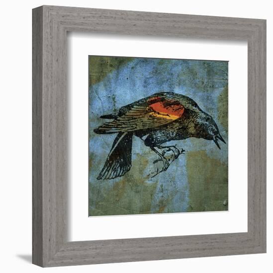 Red Wing Blackbird No. 1-John W^ Golden-Framed Art Print