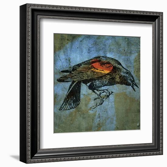 Red Wing Blackbird No. 1-John W^ Golden-Framed Art Print