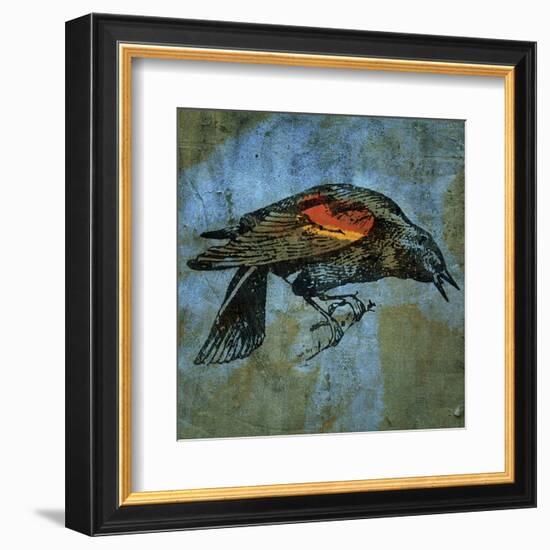 Red Wing Blackbird No. 1-John W^ Golden-Framed Art Print