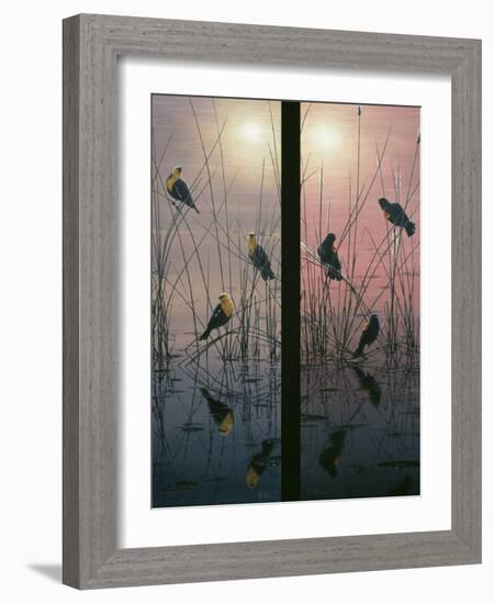 Red Winged and Yellow Headed Blackbirds-Jeff Tift-Framed Giclee Print