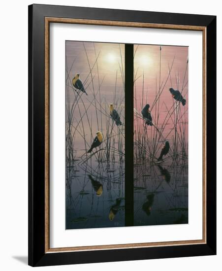 Red Winged and Yellow Headed Blackbirds-Jeff Tift-Framed Giclee Print